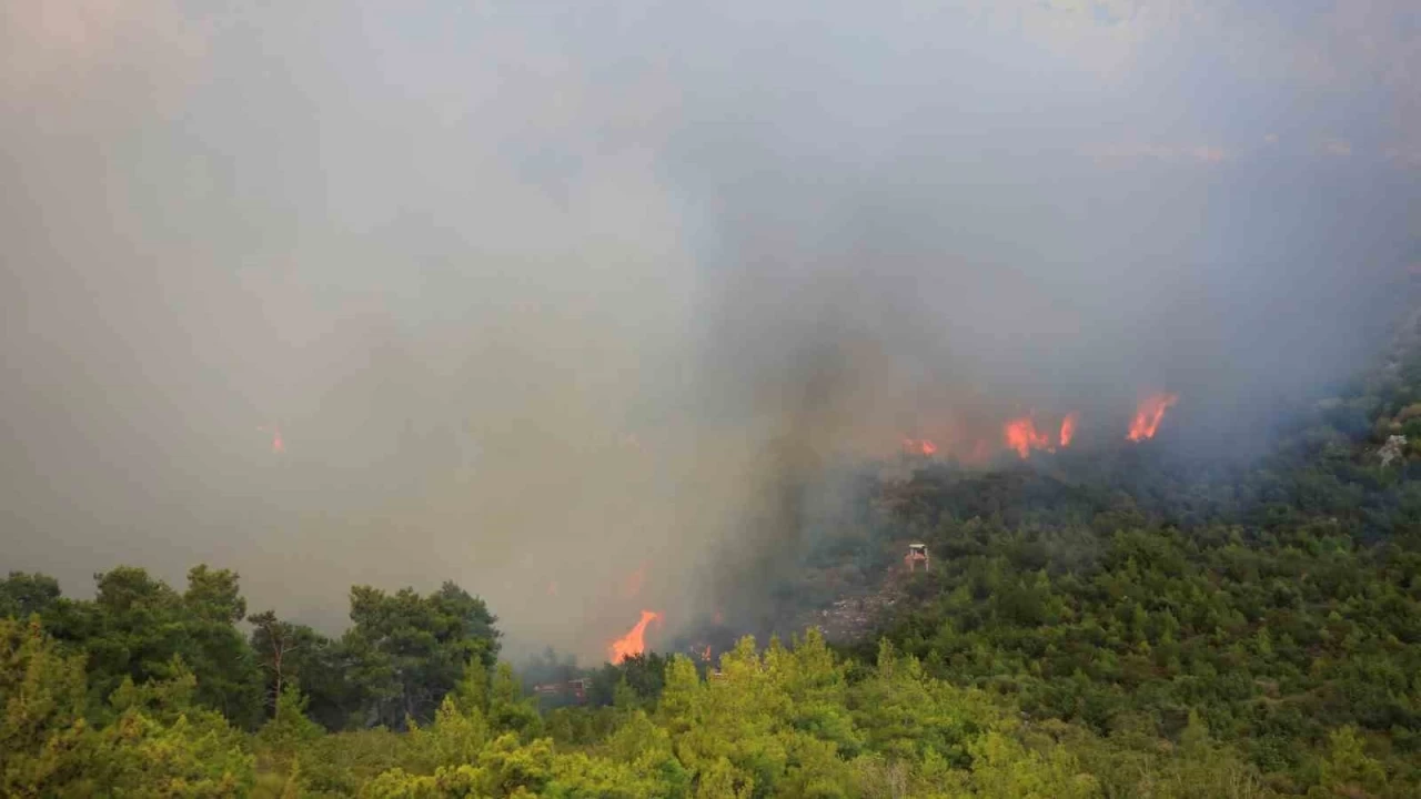 Antalya'daki orman yangnnda 7 ev boaltld