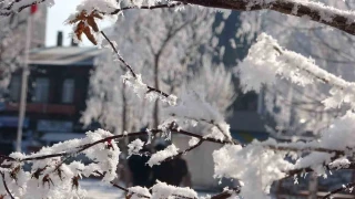 Ardahan'da Sibirya soğukları devam ediyor