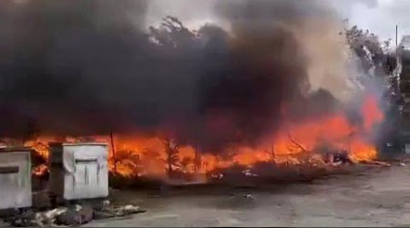 Avcılar'da serada yangın çıktı