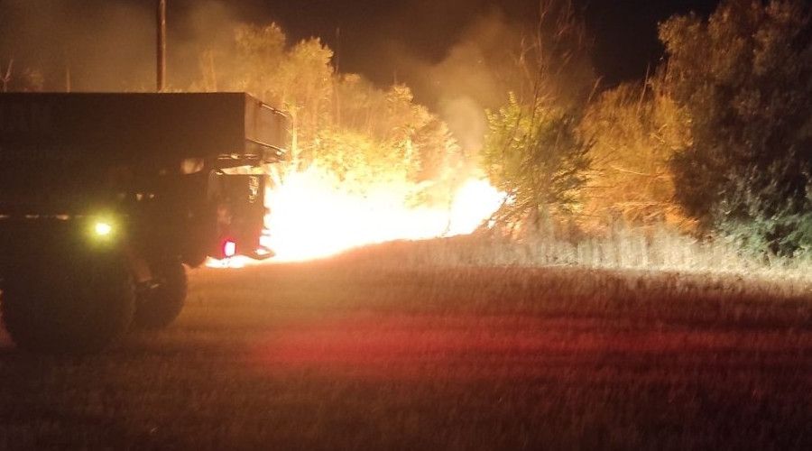 Aydın'da zeytinlik alanda yangın