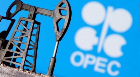 BAE: OPEC+ kararı siyasi değil
