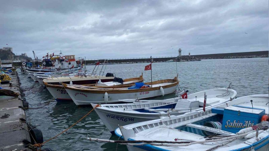 Balıkçılar hamsiden umutsuz