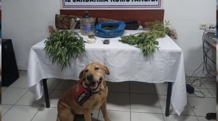 Bartın'da uyuşturucu operasyonu