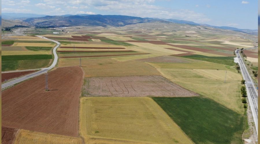 Bayat Ovası'nı kuraklık vurdu