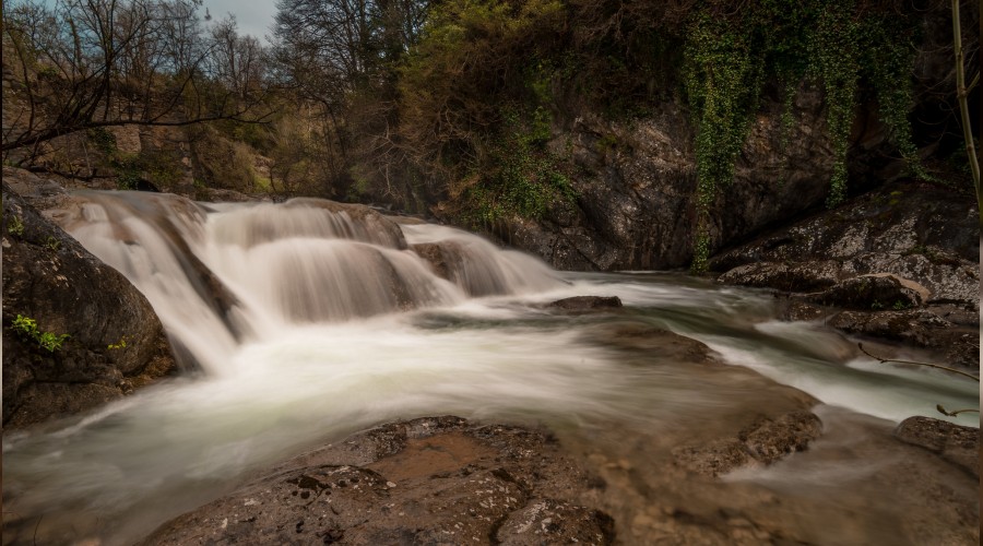 ‘Benim sana ihtiyacım yok’