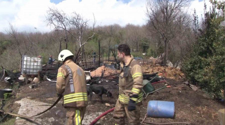 Beykoz'da ahır yandı, 2 hayvan telef oldu