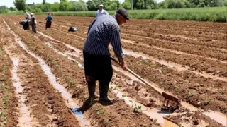 Binlerce çiftçinin elektrik borçlarını ödeyemediğine dikkatleri çeken CHP Niğde Milletvekili Gürer, yabancıların gariban çiftçinin toprağını satın aldığını açıkladı