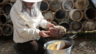 Bitlis'in karakovan bal yurt dndan da alc buluyor