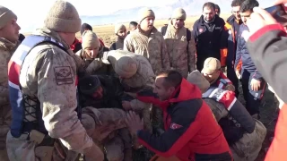 Çoban koyunların arasında sıcaklığını muhafaza ederek hayatta kalmış