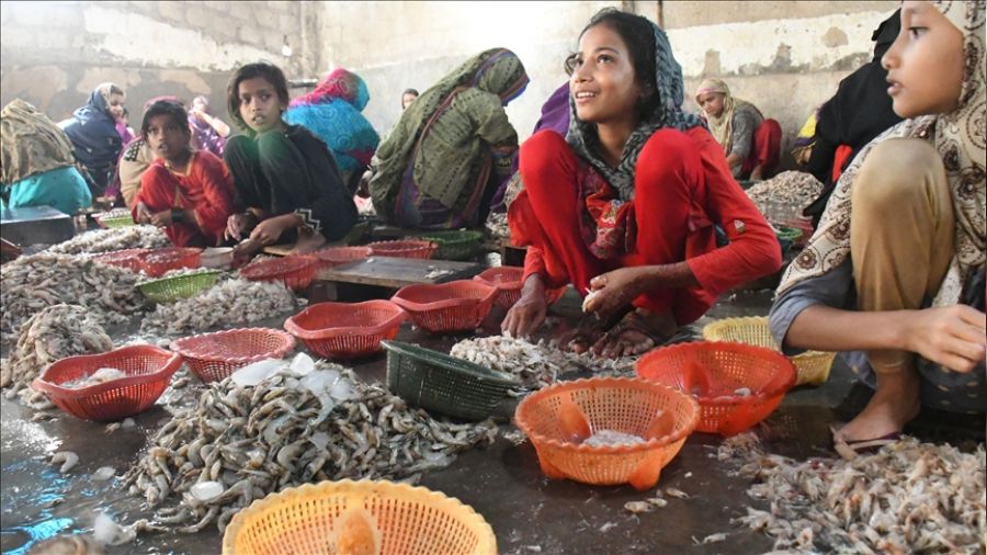 Çocuk işçilerin sayısı artıyor