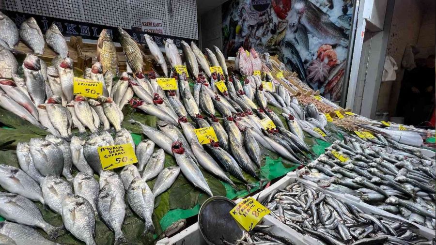 Denizlerde çinekop ve sarı kanat akını