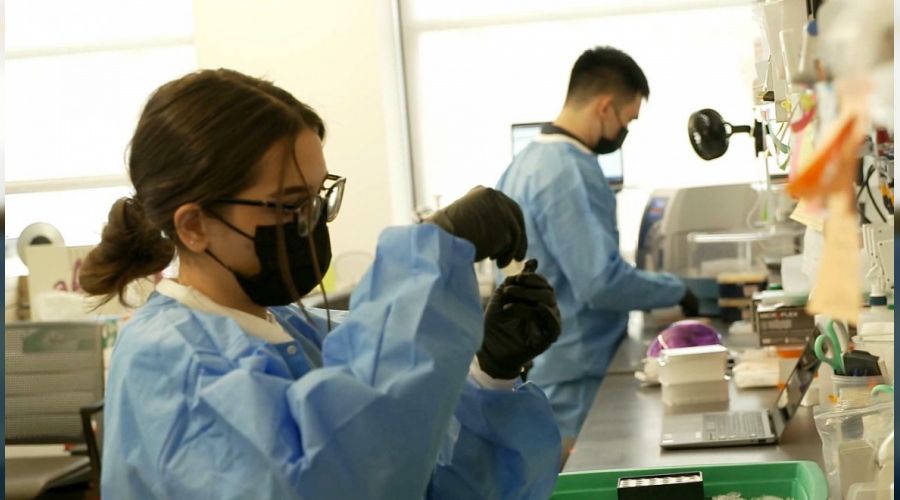 DSÖ: Omicron en az 23 ülkede görüldü