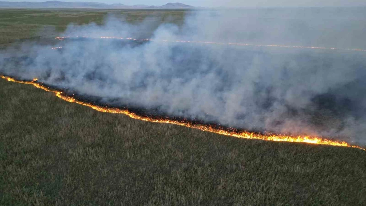 Eber Gölü'nde yangın: 9 dönüm alan zarar gördü