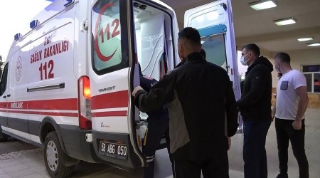 Eşeğin saldırısına uğrayan yaşlı adam yaralandı