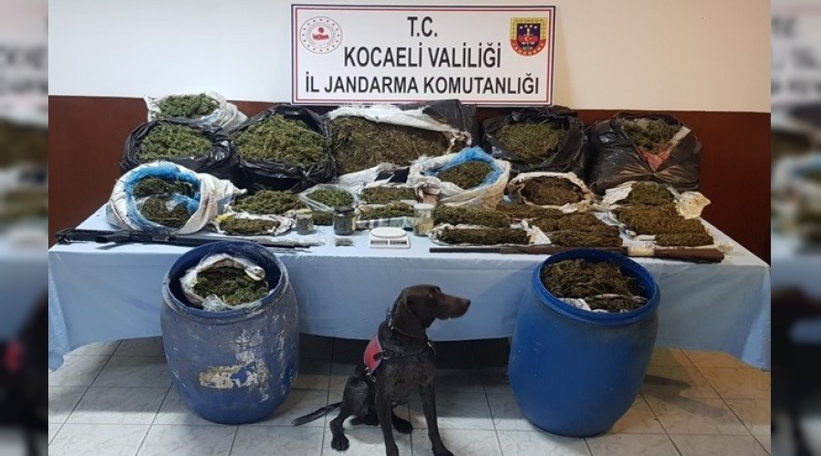 Evlerinde 61 kilo uyuşturucu ile yakalandılar