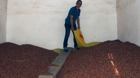 Fındık fiyatı haftayı düşüşle kapattı