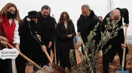 Gaziantep Büyükşehir iş birliğinde kente meyve ormanı kazandırıldı