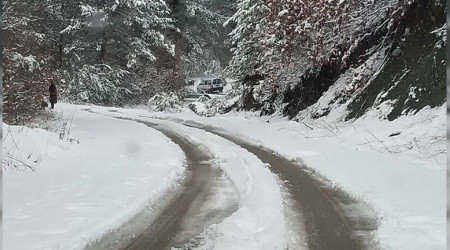 Hatay Erzin'e kar yad