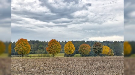 Hz. Abdulkadir Geylani'den Altın Öğütler