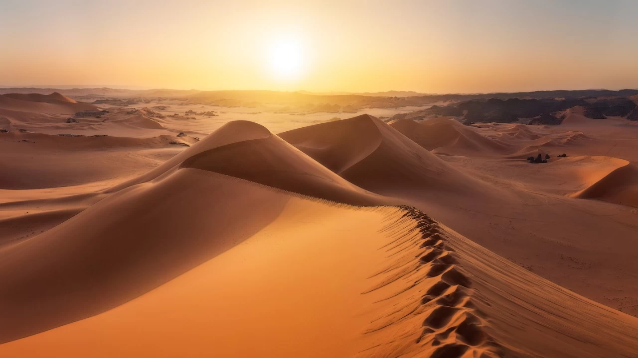 İmam Kazım’a sordular