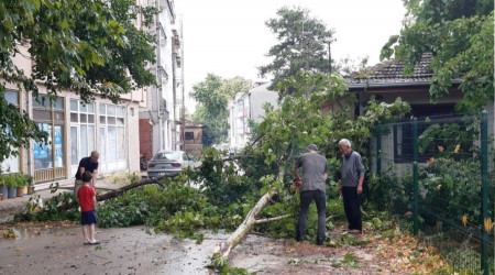 negl'de bayramn birinci gn saanak sele sebep oldu