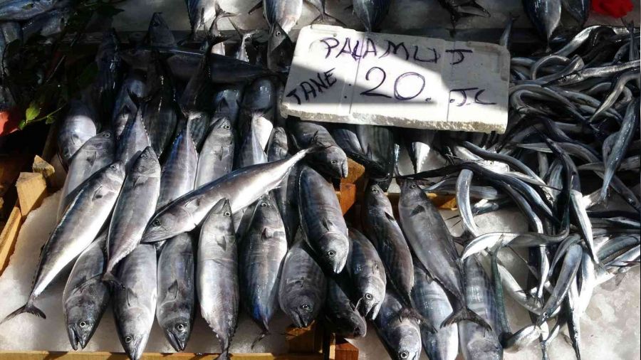 Karadeniz'de palamut avcılığının 15 gün daha sürmesi bekleniyor