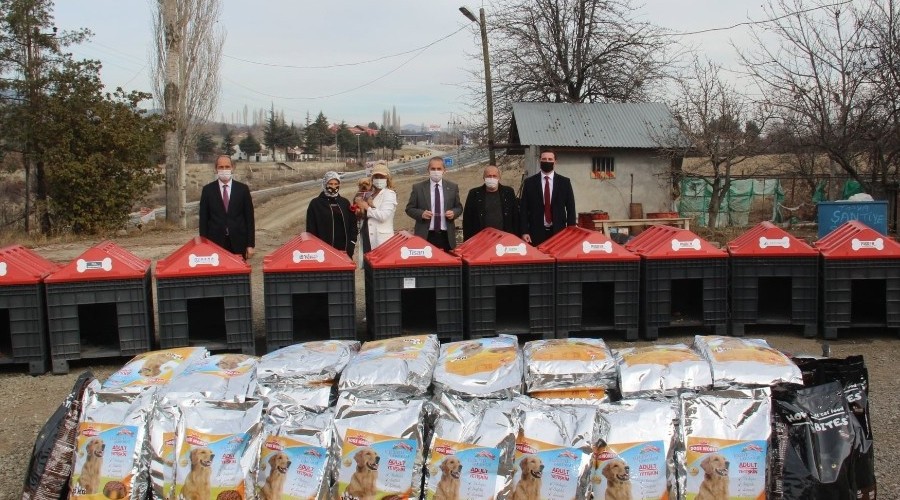 Kastamonu'da 'Patiler Üşümesin' kampanyası devam ediyor