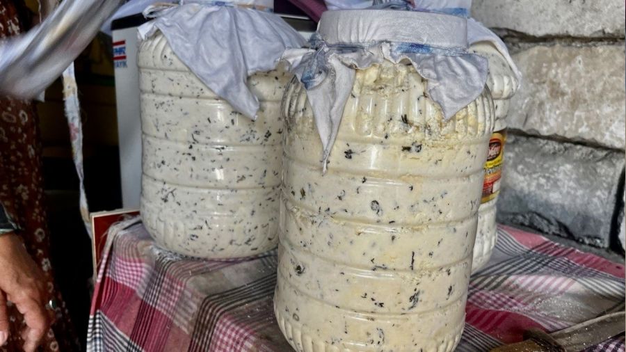 Kışlık doğal peynirler toprağın altında bekletiliyor