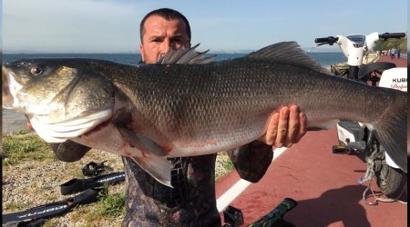 Levrekle dünya rekoru kırdı