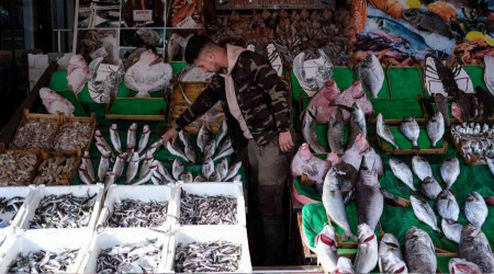 Lodos balık tezgahlarını vurdu