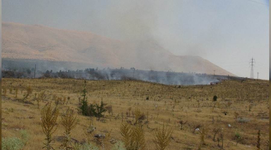 Malatya'da orman yangını