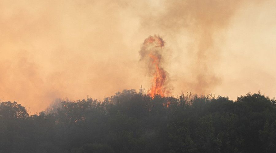 Manisa'da ormanlk alanda 6 farkl noktada yangn