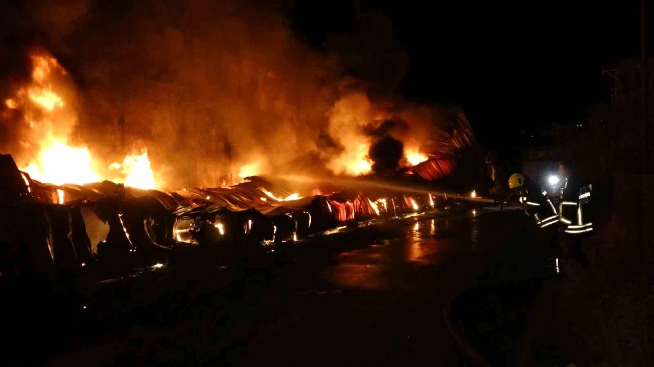 Mersin'de limon paketleme tesisinde yangın