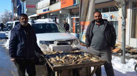 Murat Nehri'nde balık bolluğu