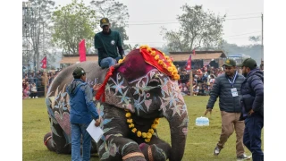 Nepal’de ilginç yarışma