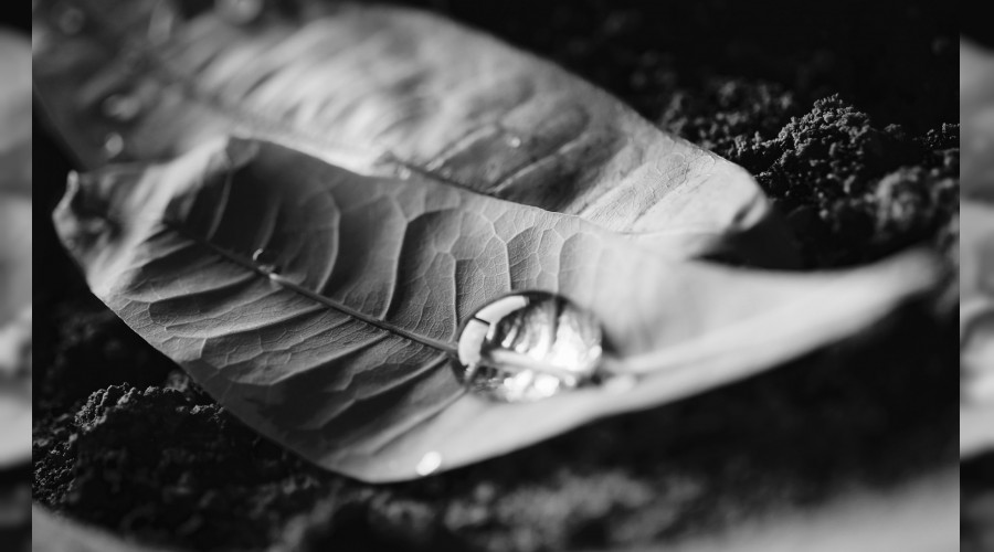 O ateşin gücünü tefekkür et!