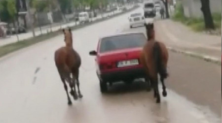 O sürücüye ceza yağdı