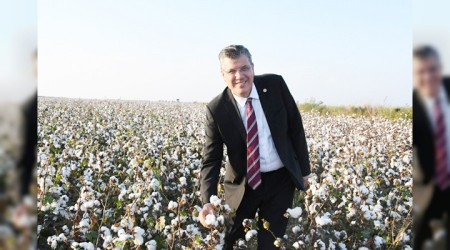 Pamuk üreticileri cayır cayır yanıyor