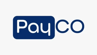 PAYCO Elektronik Para ve Ödeme Hizmetleri'ne 2. dalga operasyon
