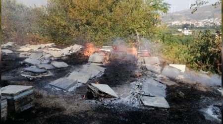 Samanda'daki yangn sigara izmaritten km