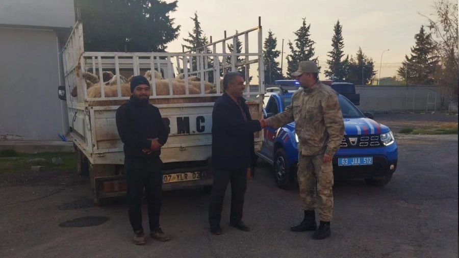 Şanlıurfa'da hayvan hırsızları yakalandı