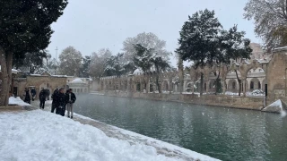 Şanlıurfa'daki tarihi Balıklıgöl beyaza büründü