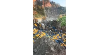 Sarp Sınır Kapısı'nda 6 ton mandalina imha edildi: Zirai ilaç kalıntısı tespit edildi