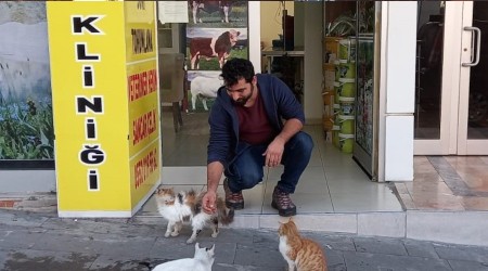 Sokak hayvanlarının veterineri