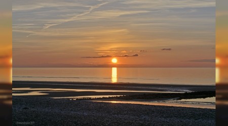 ‘Takva dışında hiçbir azığında hayır yoktur’