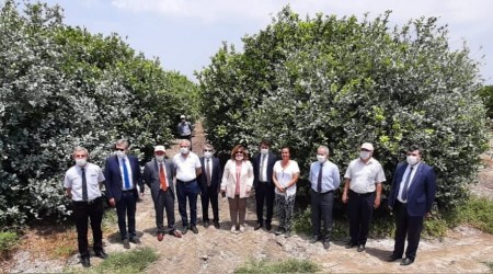 TARSİM’den turunçgil üreticilerine ziyaret