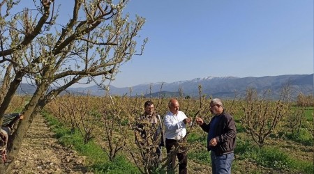 Üreticinin gözü don tehlikesinde