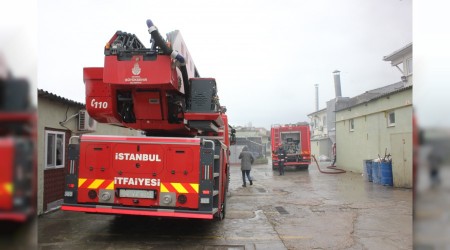 Yangınlar korkuya neden oldu