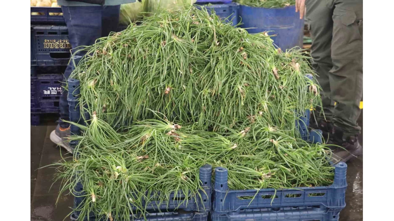 Yemlik otu tezgahlardaki yerini aldı