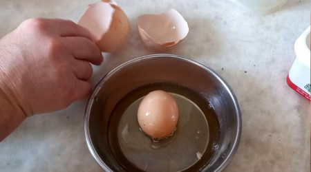 Yumurta iinde yumurta kt